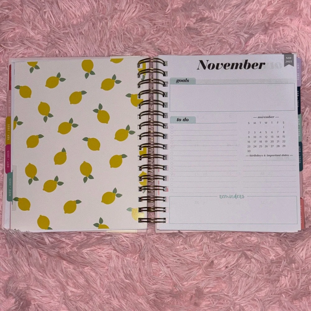 Eccolo Blush Pink Weekly & Monthly Planner Years 25-26